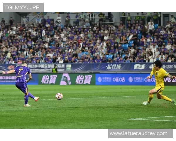 体育实时数据深圳排球队创新包夹战术引领新潮流助力竞技水平提升