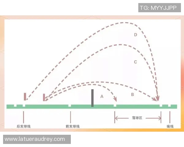 体育实时数据羽毛球新手必看攻略与全面入门指南助你快速提升技巧与水平